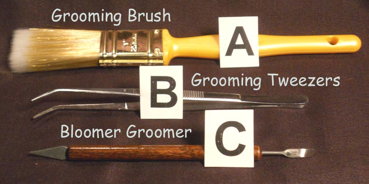 basic grooming kit